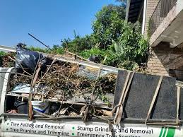 Best Residential Junk Removal  in Newfoundland, NJ